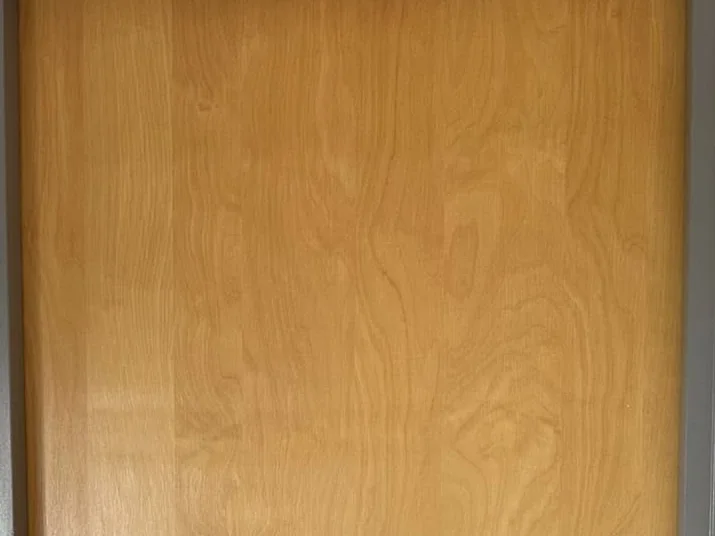 Binnendeur met houtlook voor het schilderen